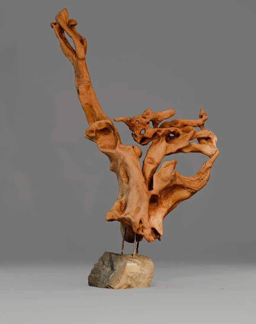 Июньская фантазия - View 1